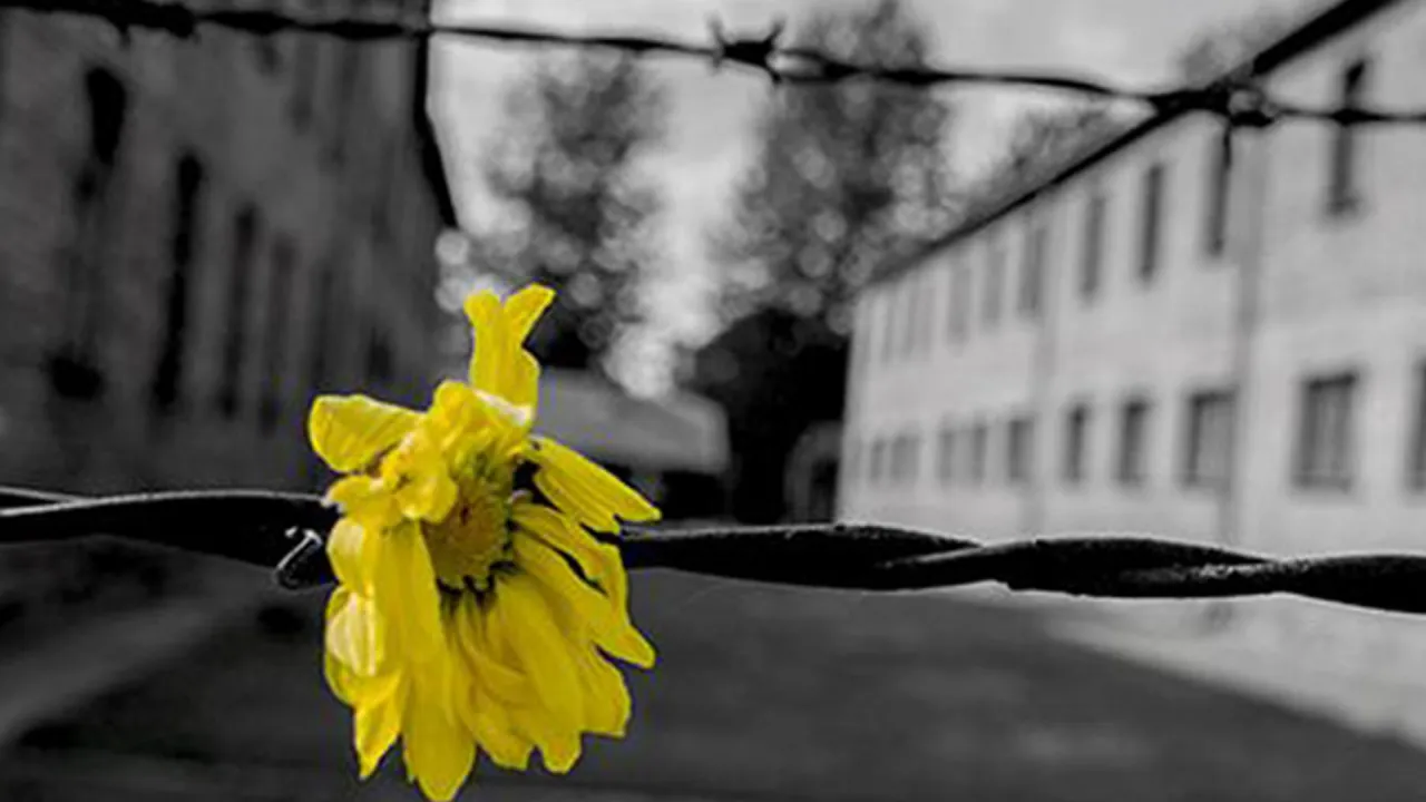 Giorno della Memoria 2026