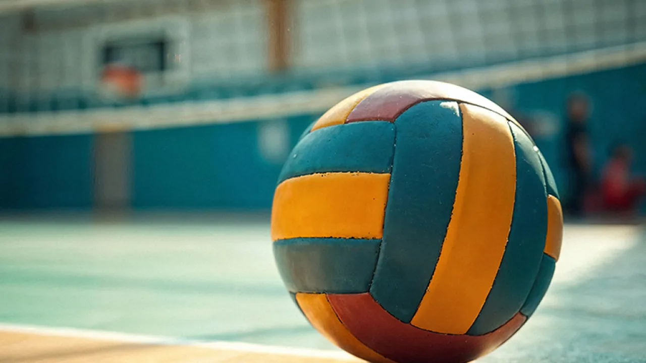 Gonfalone d’argento a Savino del Bene Volley