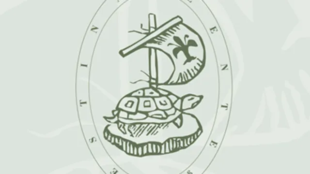 festina lente