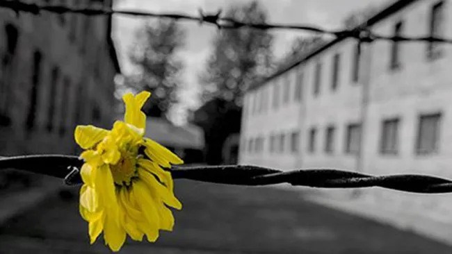 giorno della memoria 2026